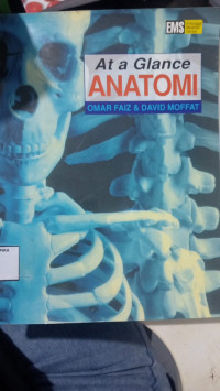 Image of anatomi